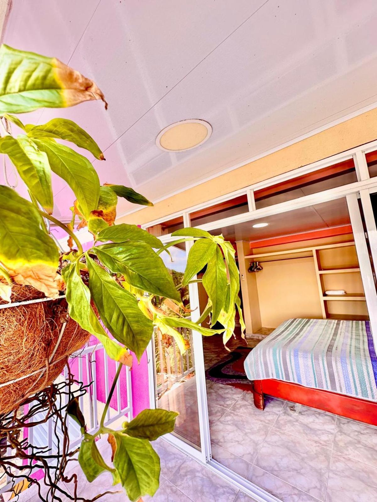Posada Seven Colours Ocean Providencia  Εξωτερικό φωτογραφία